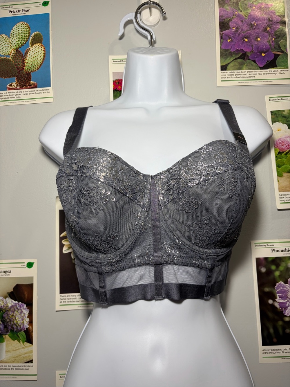 Victoria's Secret Charcoal Gray Lace Longline Bustier Bra